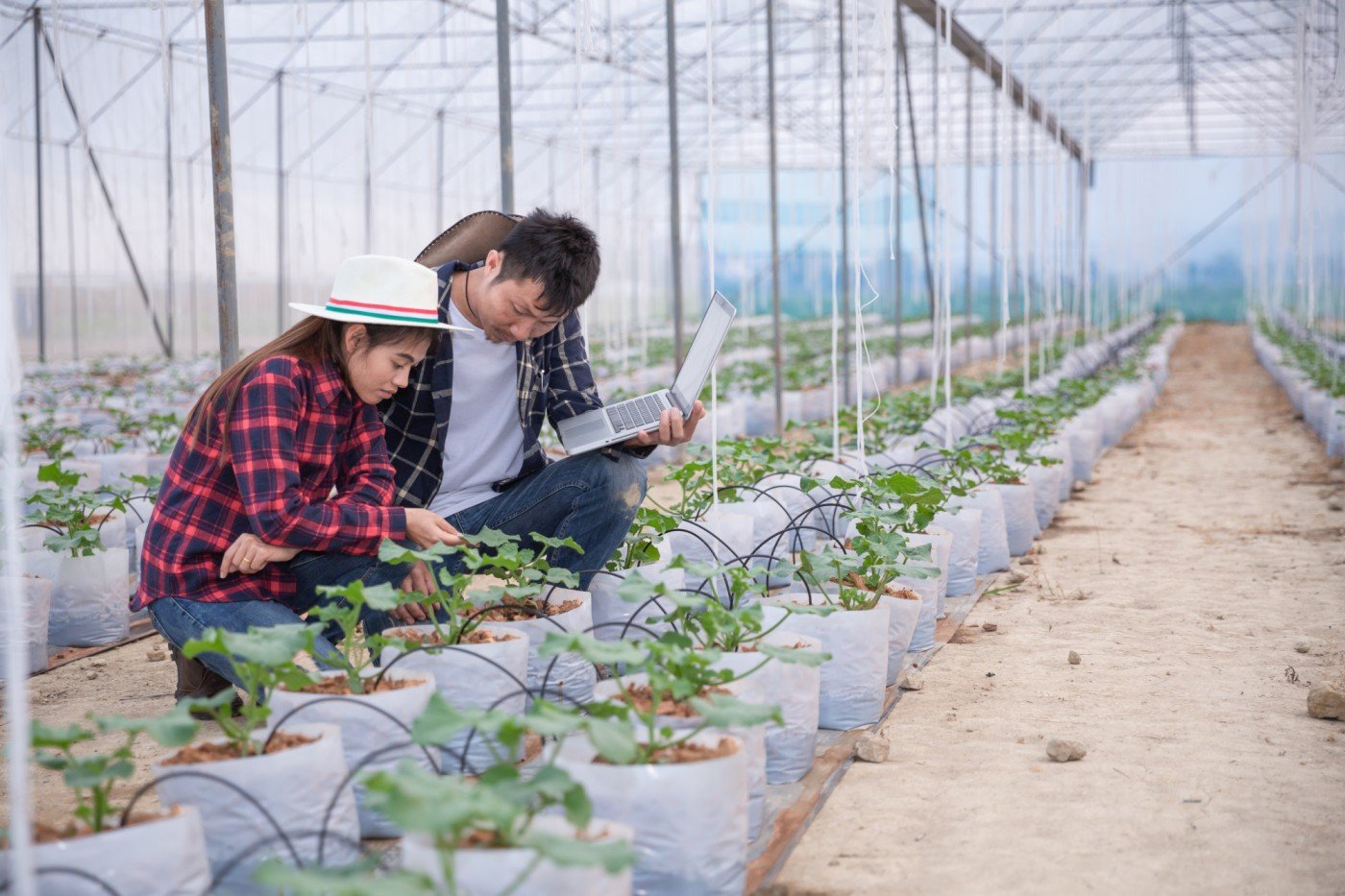 agricultural-researcher-with-tablet-slowly-inspect-plants (1)